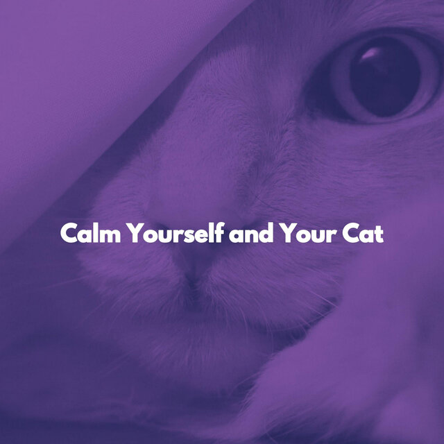 Calm Yourself and Your Cat