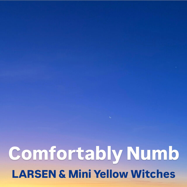 Comfortably Numb
