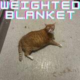 Weighted Blanket