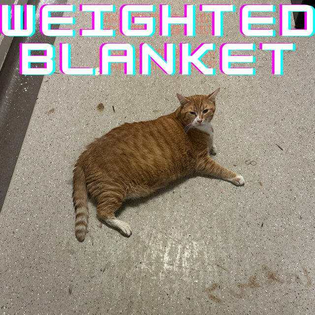 Weighted Blanket