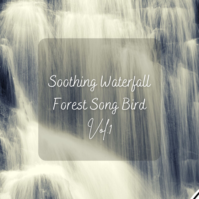 Soothing Waterfall Forest Song Bird Vol. 1