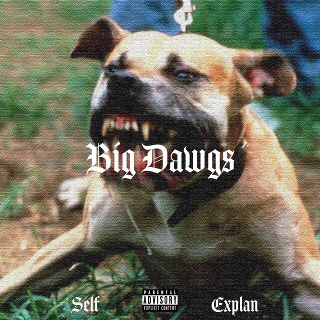 Big Dawgs