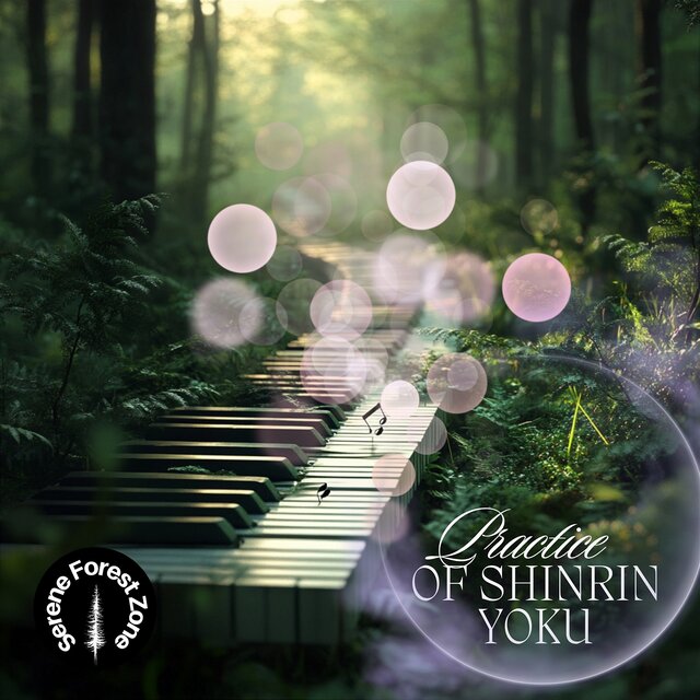 Practice of Shinrin Yoku: Forest Bathing
