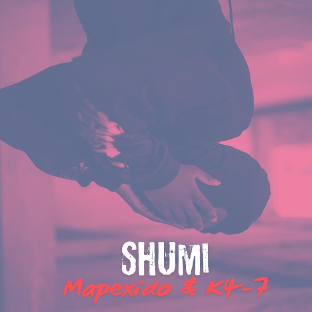 Shumi neminyaka