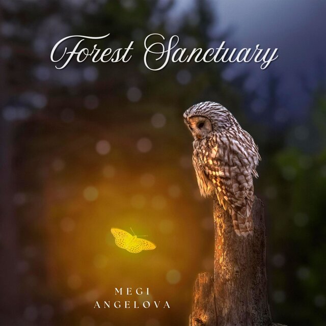 Forest Sanctuary