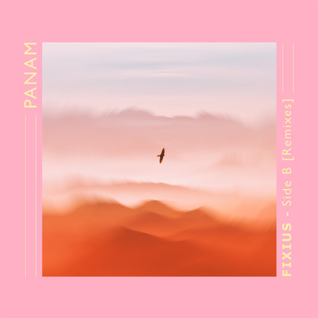 Fixius (Pink Sugar People Remixes)
