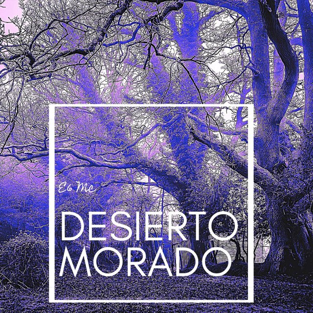 Desierto morado