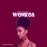 wonkoa speed up song