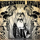 Cover art for album Sunlight by Freedom Hawk