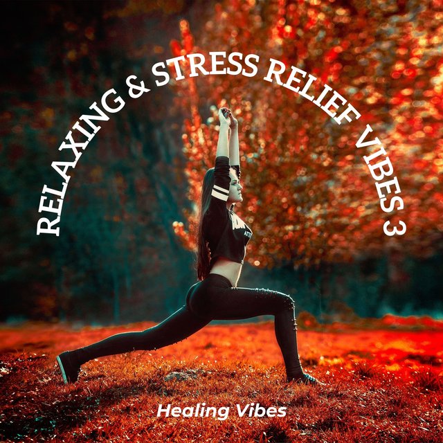 Relaxing & Stress relief Vibes 3
