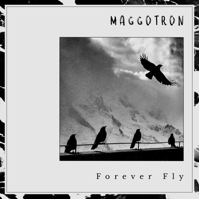 Forever Fly