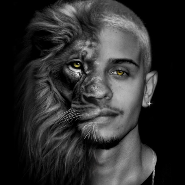 Amigo do Leão