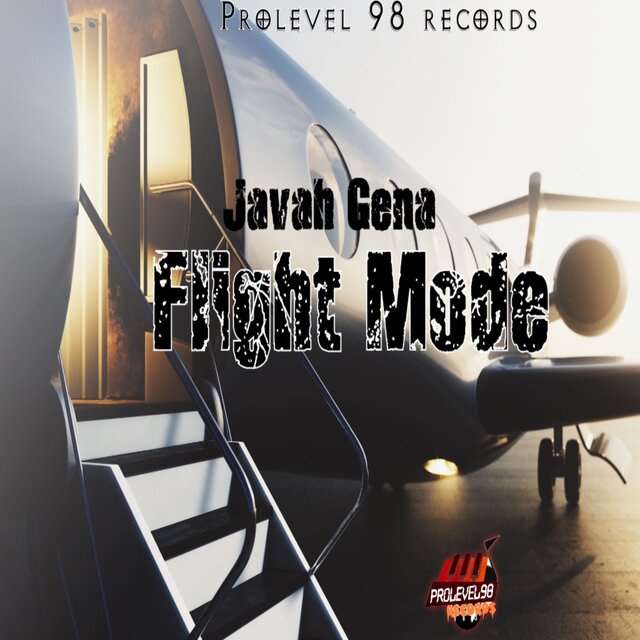 Flight Mode