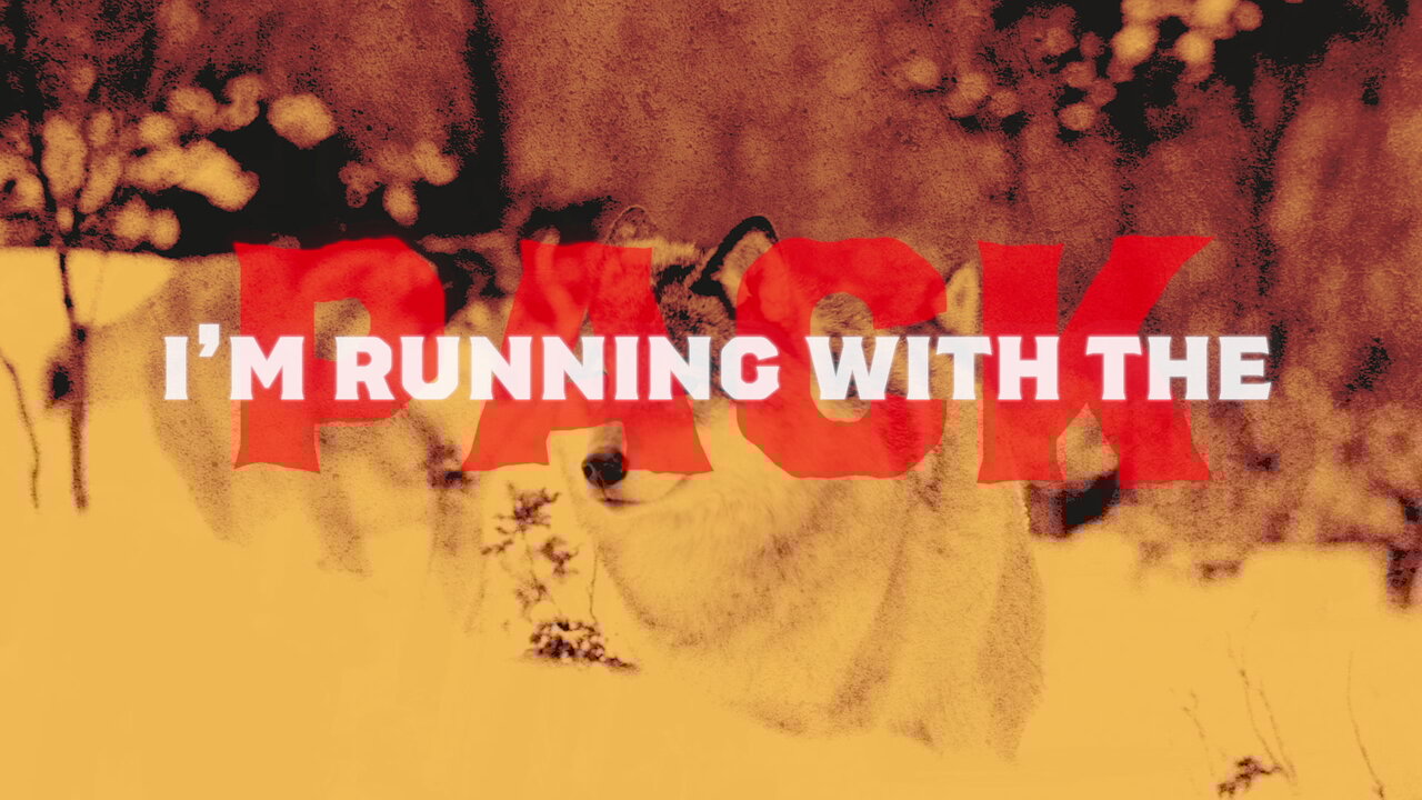 Run With The Pack