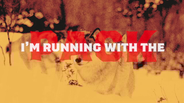 Run With The Pack