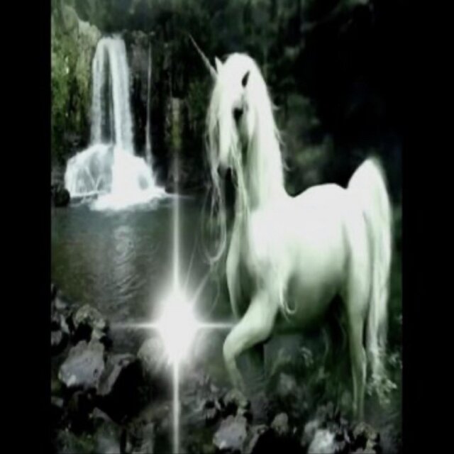 Fountain of Youth