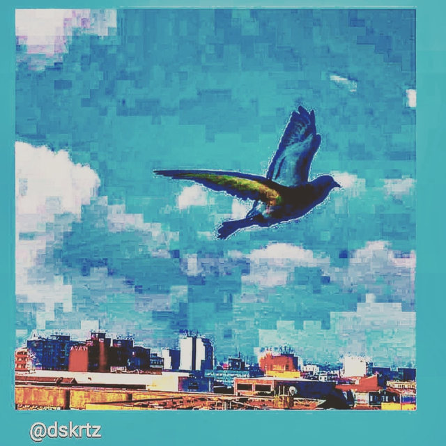 Wild Trip, Vol. 1 #0001