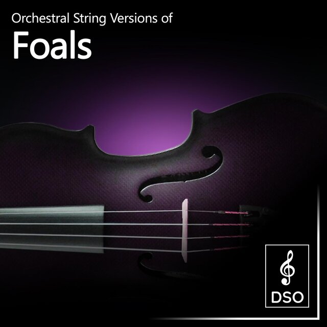 Orchestral String Versions of Foals