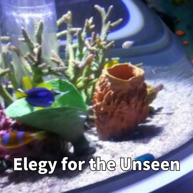 Elegy for the Unseen