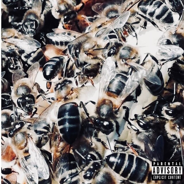 Birds and the Bees