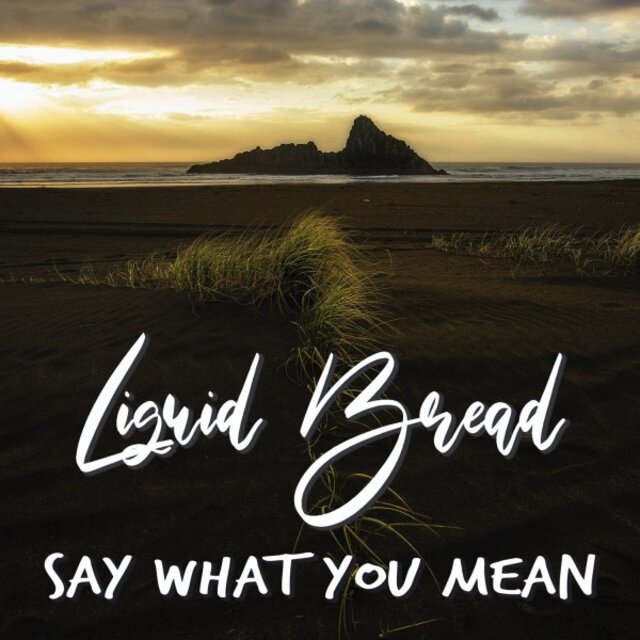 Say What You Mean
