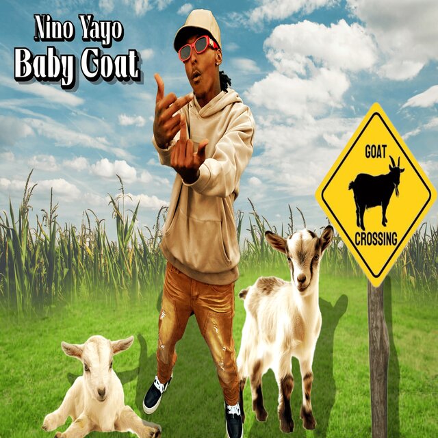 Baby Goat