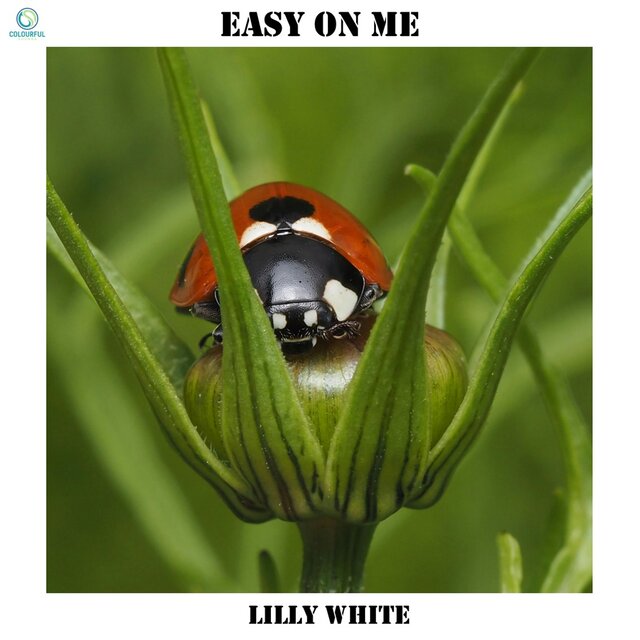 Easy on me