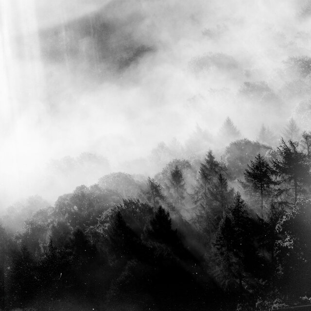 The Mist