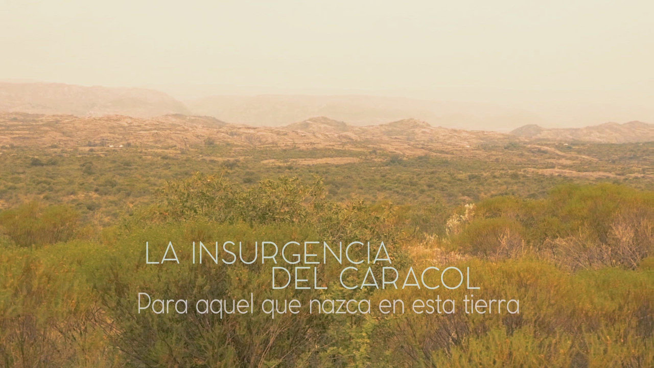 Canto al monte nativo/La insurgencia del Caracol/ Para aquel que nazca en esta tierra (En Vivo Desde el Monte Nativo)
