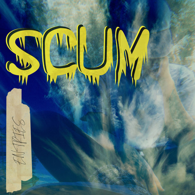 Scum Entries