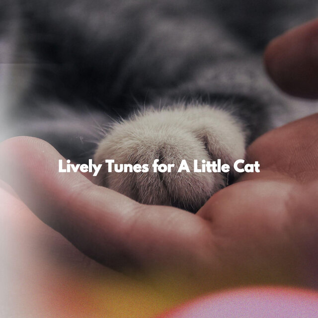 Lively Tunes for A Little Cat