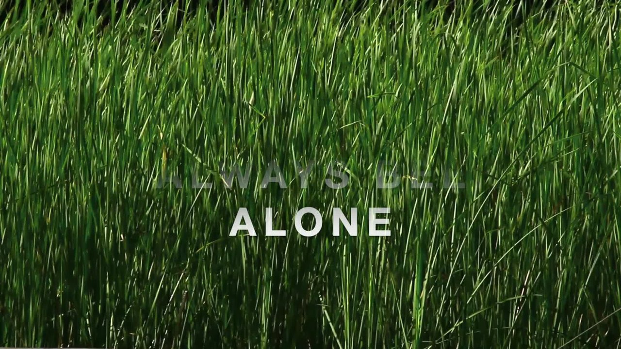 I Left You Alone
