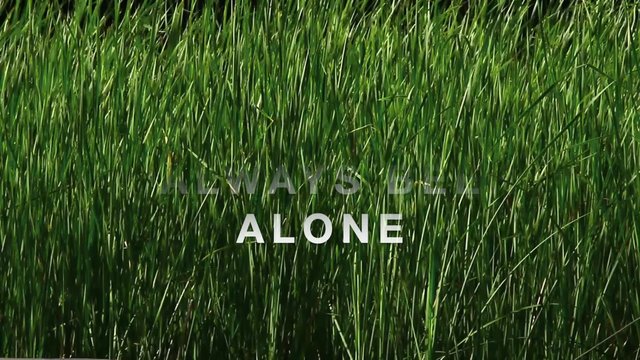 I Left You Alone