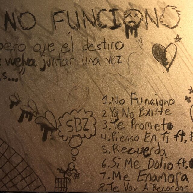 No Funciono