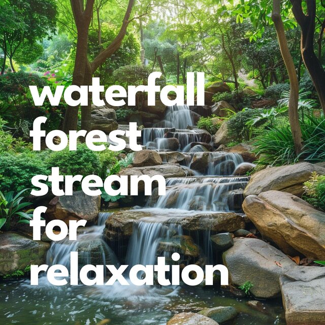 Waterfall Forest Stream for Relaxation