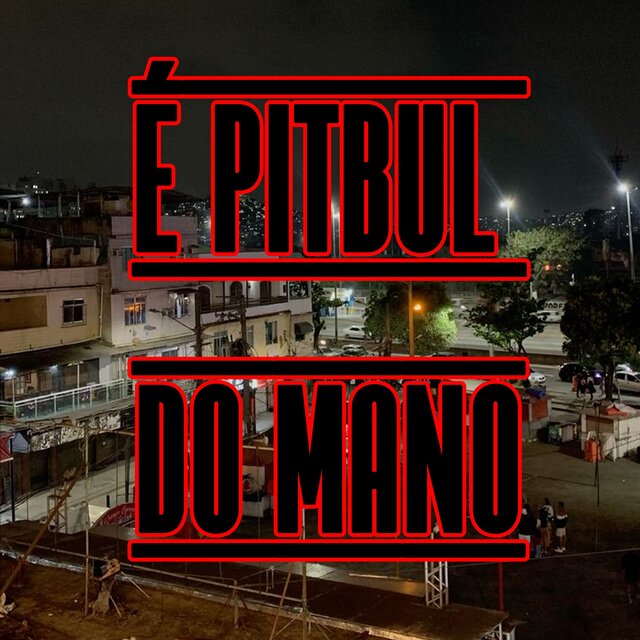 É PITBUL DO MANO