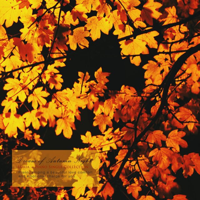 Autumn Night's Dream