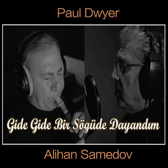 Gide Gide Bir Söğüde Dayandım