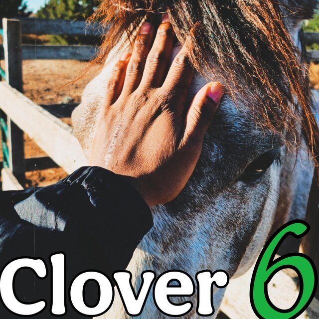 Clover 6