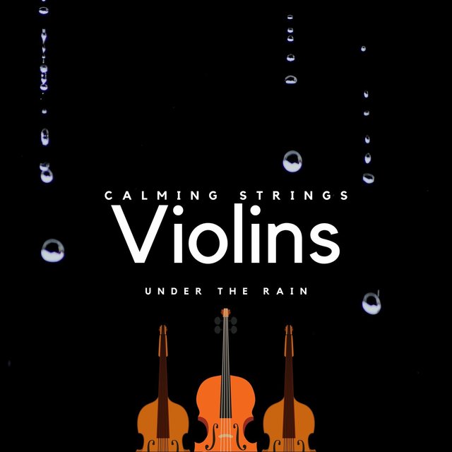 Violins Under the Rain