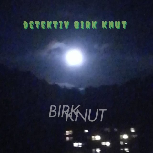 Detektiv Birk Knut Original Soundtrack