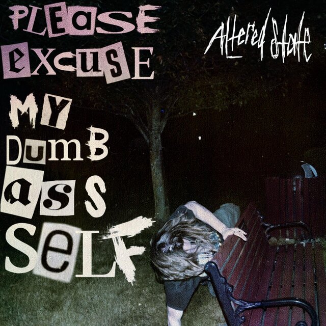 Please Excuse My Dumb Ass Self