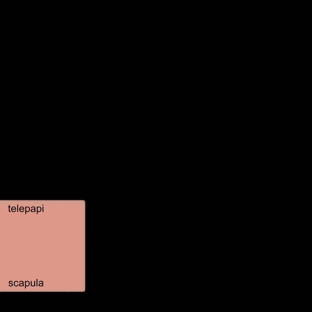 scapula