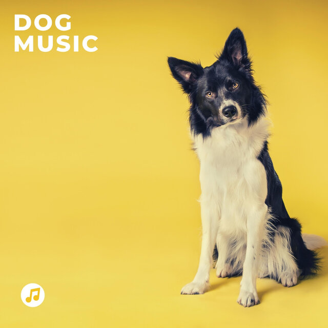 Deep Sleep Dog Music