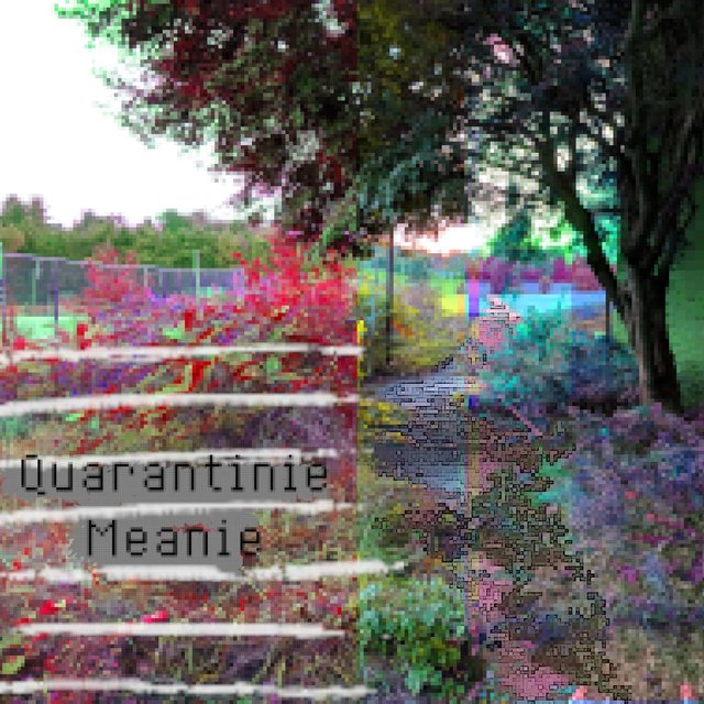 Quarantinie Meanie
