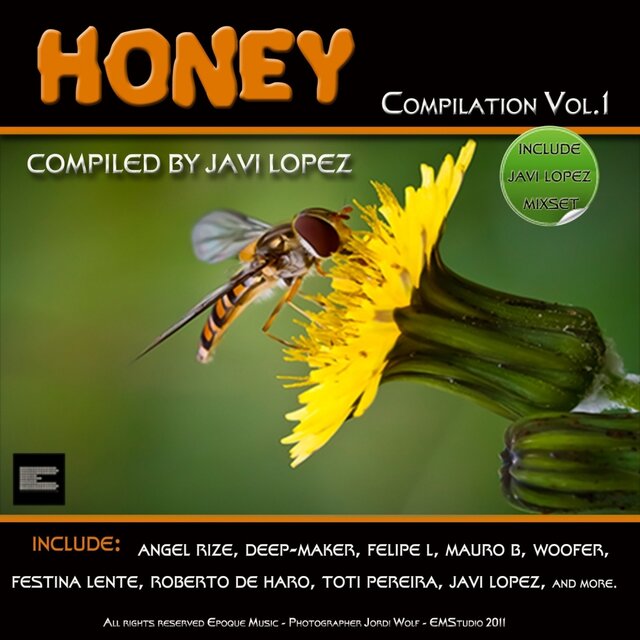 Honey Compilation 1