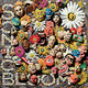 Cover art for album Sonic Bloom by Give