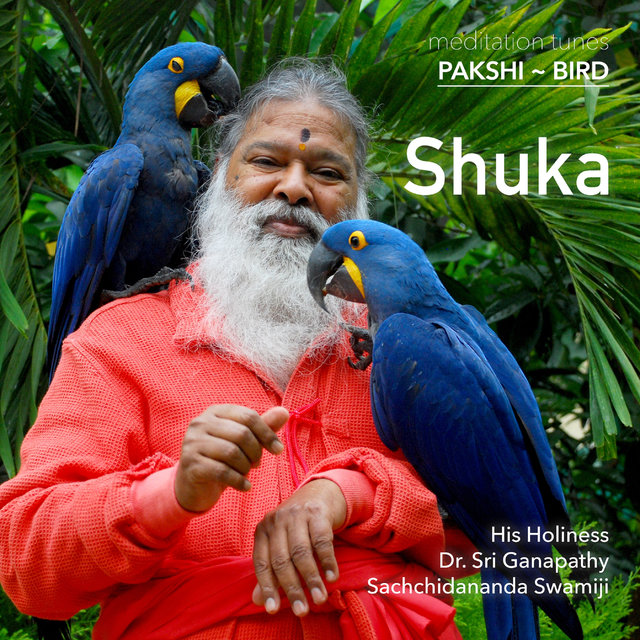 Meditation Tunes Pakshi Bird Shuka By Sri Ganapathy Sachchidananda Swamiji On Tidal meditation tunes pakshi bird