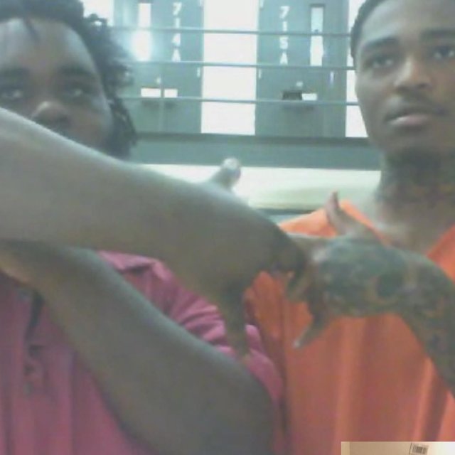 On They Necc Pt. 1