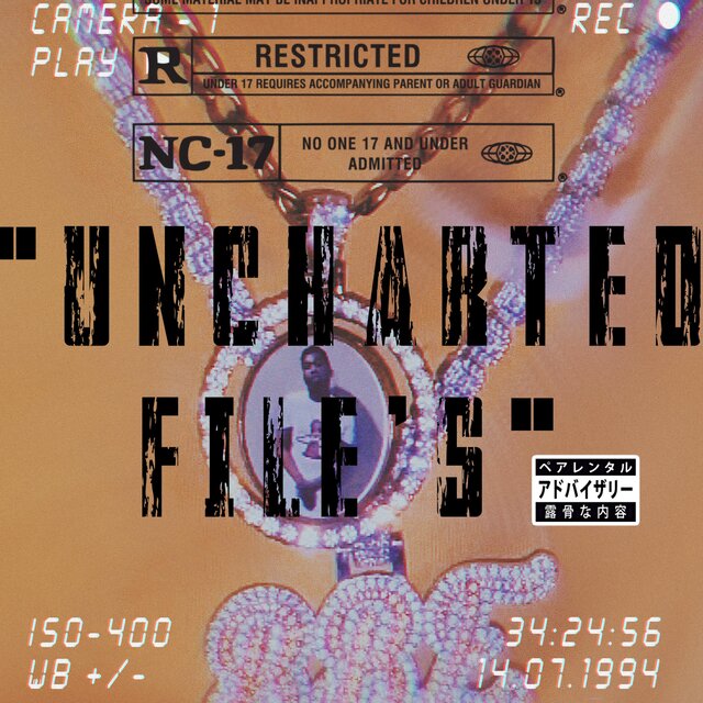UNCHARTED FILES
